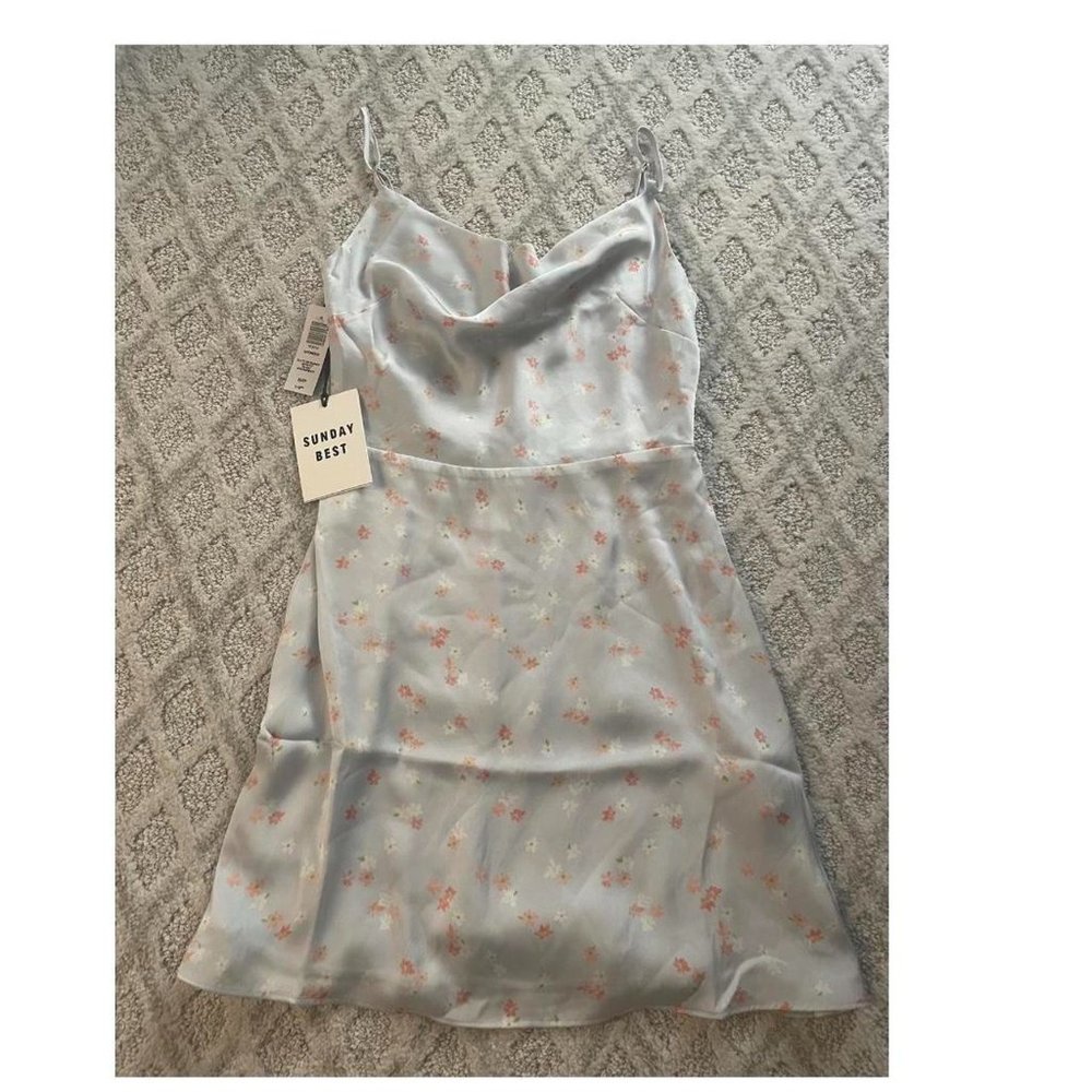 Aritzia Blue Spencer Dress Colour